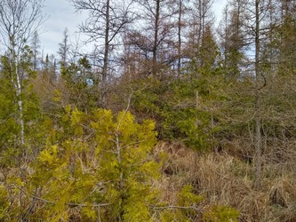 Waterloo Image 12